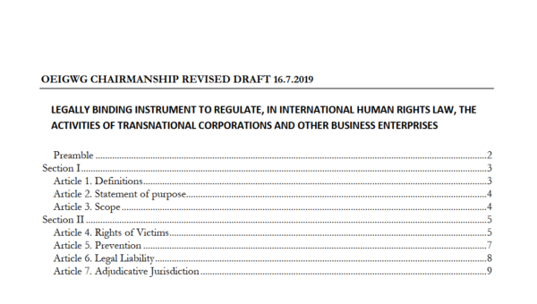 Draft report of the 5th OEIGWG session